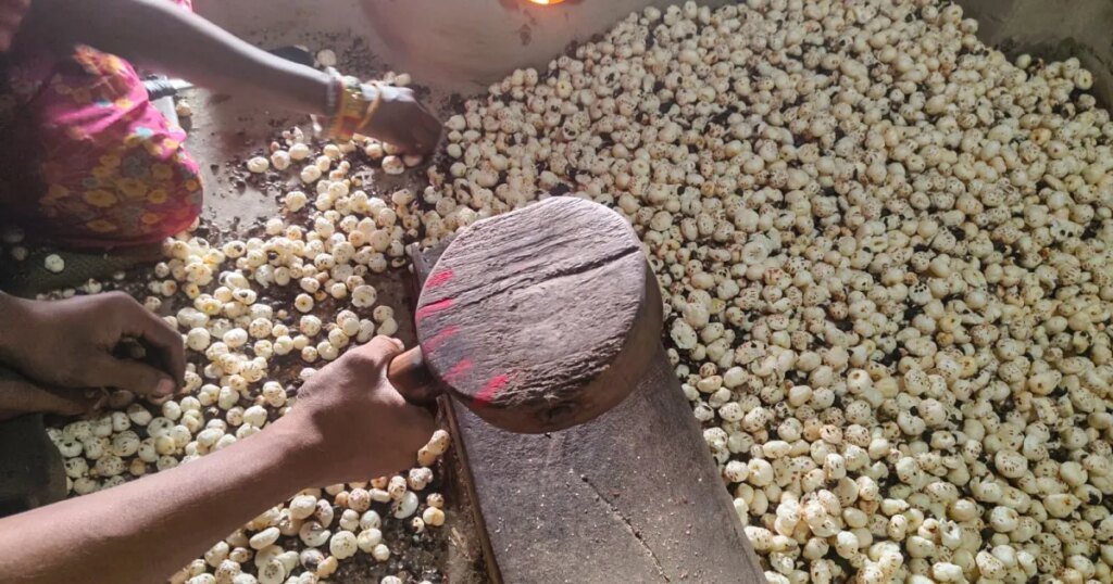 As Trump's tariffs affect Indian fox nuts, the superfood seeks new markets.