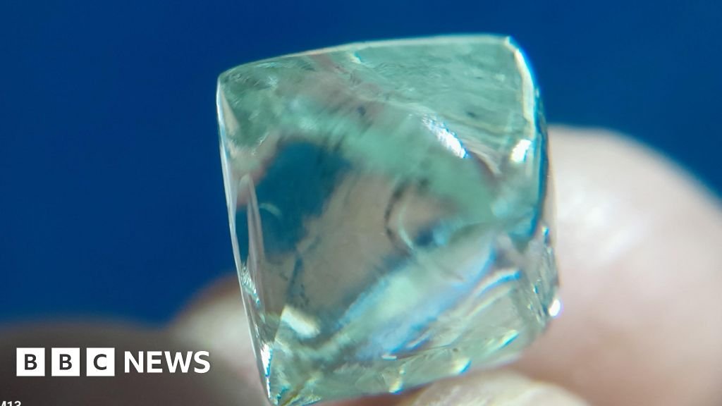 Childhood pals discover a '$55,000 diamond' in India