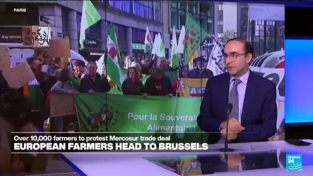 European Union Split on Mercosur Trade Agreement: France and Italy Call for Stronger Protections