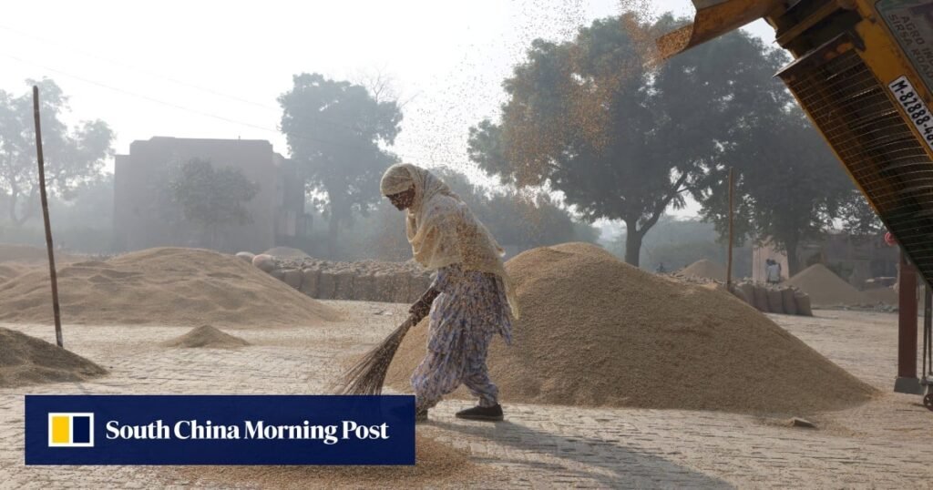 India's Rice Exports Encounter Pricing Challenges Amid Trump's Tariff Threats