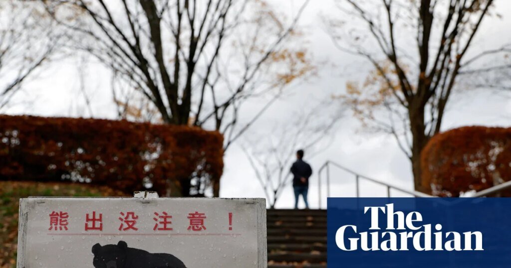 Japanese town shaken by a year of unprecedented bear interactions.