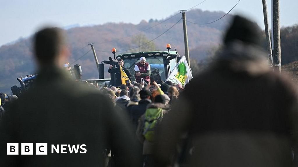 Los agricultores exigen bloqueos en Francia debido a la matanza por enfermedad bovina.