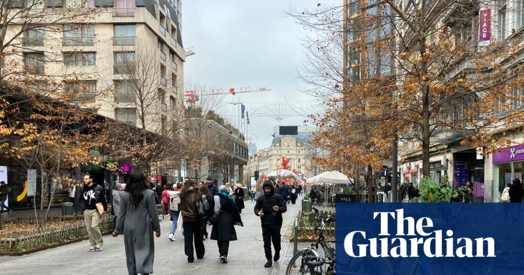 Proposal to Ban Bikes in Brussels Pedestrian Zone Deemed 'Risky and Ridiculous'