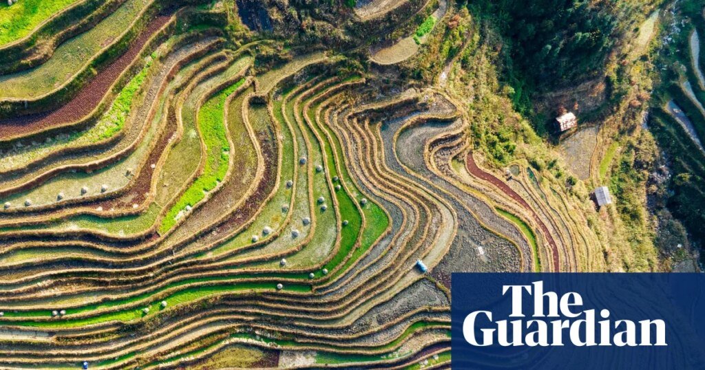 Shattered aspirations and land seizures: The emergence of rural demonstrations in China