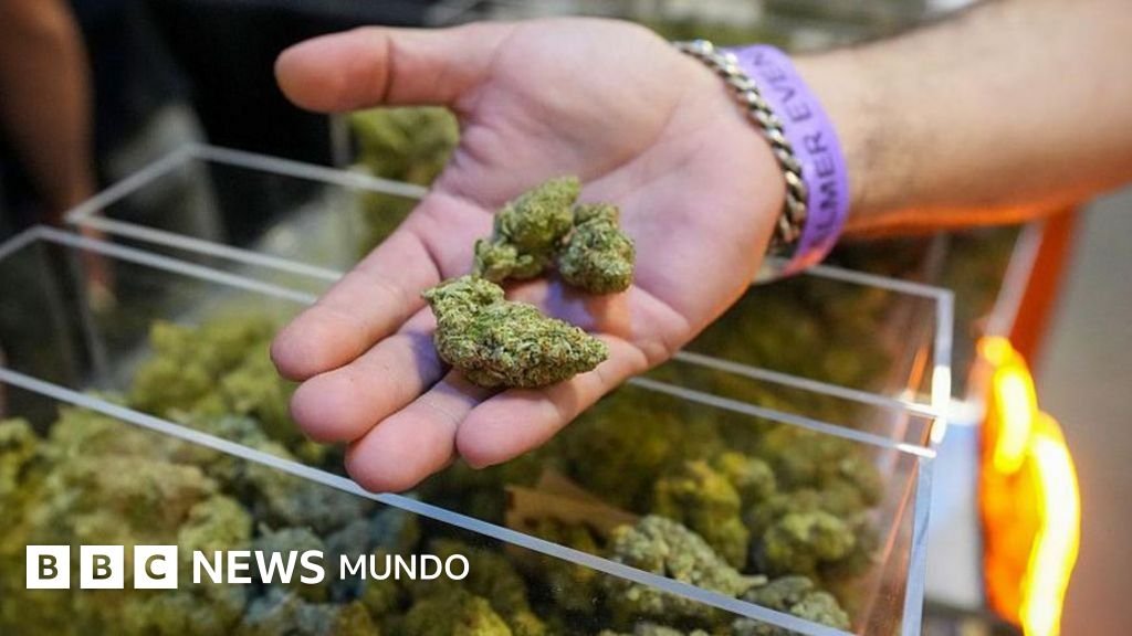 Trump expande el acceso a la marihuana, marcando el mayor cambio en la política de drogas en EE.UU. en décadas.