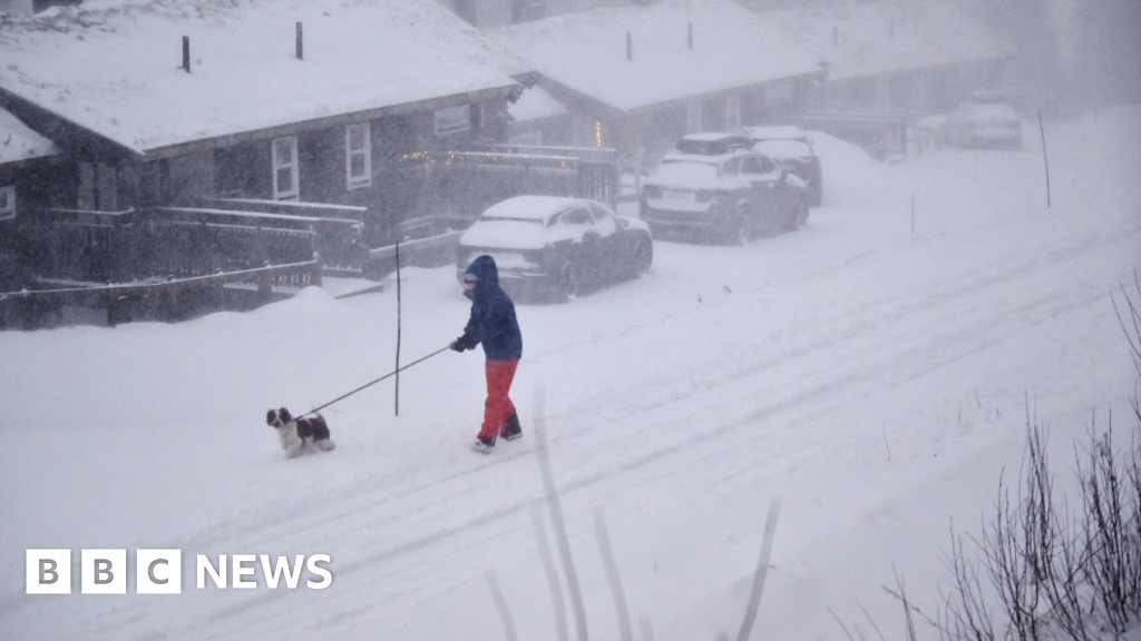 Two Fatalities in Sweden as Severe Storm Hits Nordic Region