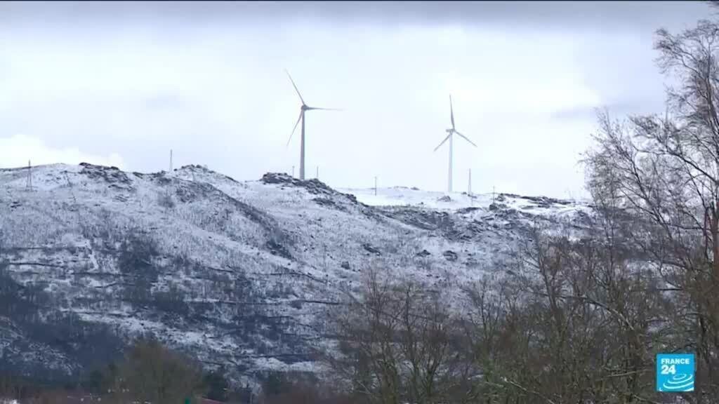 Death Toll from Storm in Portugal Rises, Leaving 450,000 Without Electricity