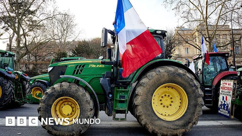 Razones de la oposición de Francia y otros países europeos al acuerdo Mercosur-Unión Europea, que formará la mayor zona de libre comercio del mundo.