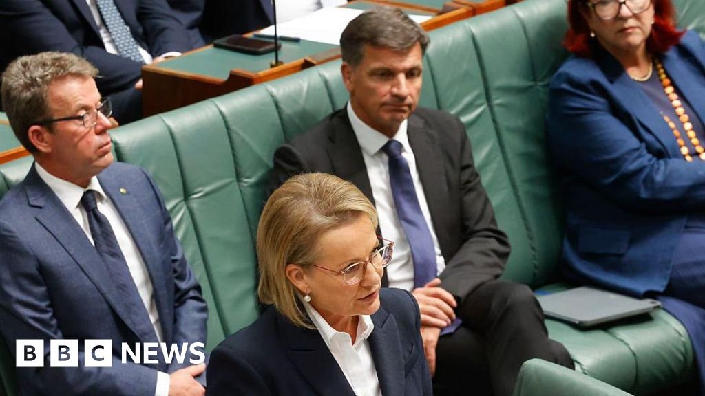 Australia's inaugural female Liberal leader encounters a challenge to her leadership.