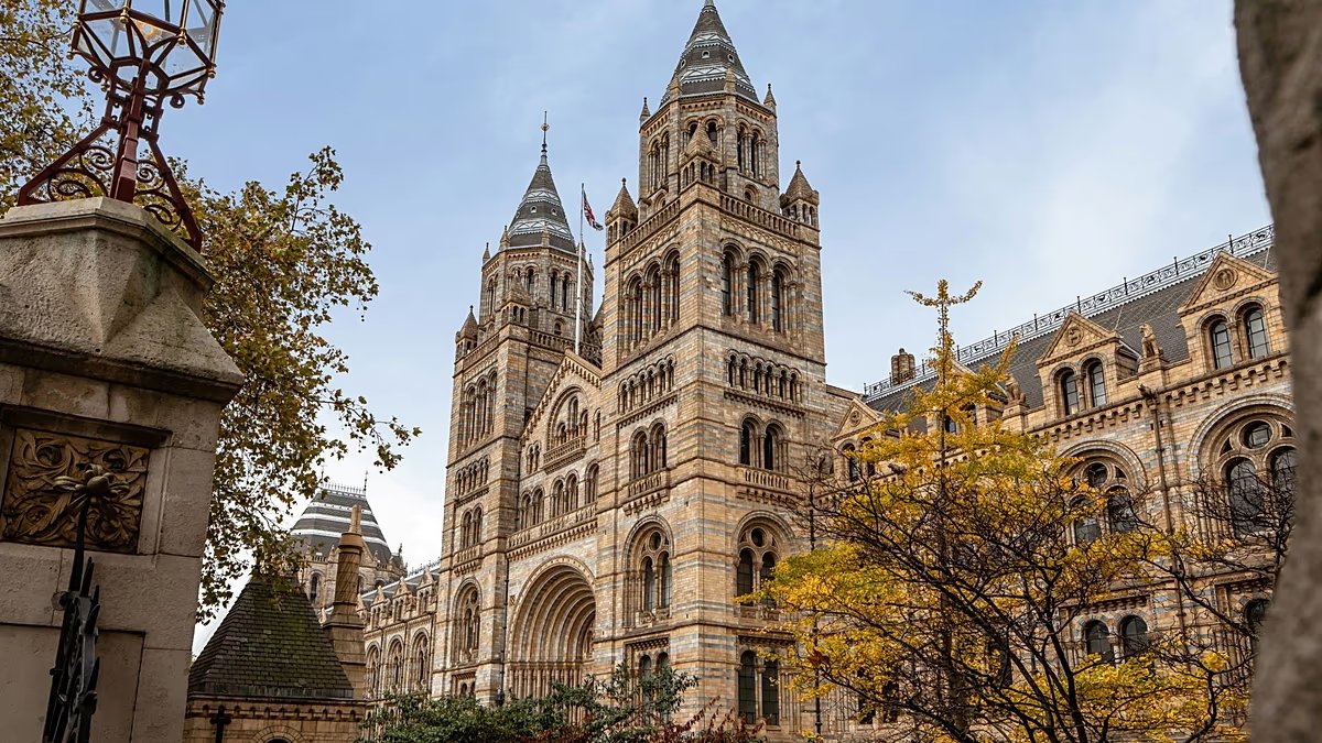 Here are the UK's top tourist destinations, ranging from the Natural History Museum to Stonehenge.