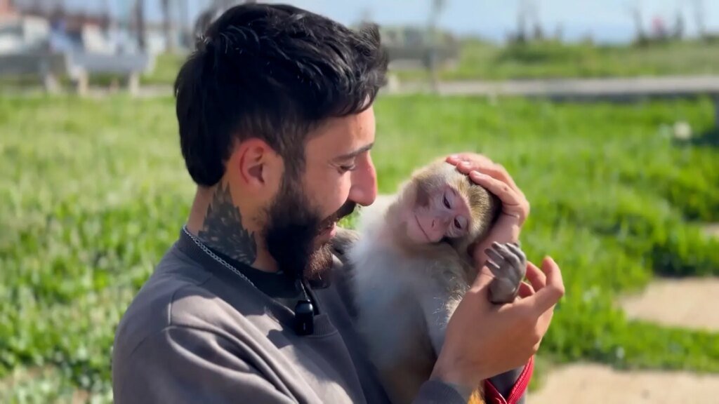 Lebanese local remains with pet monkey despite evacuation directives