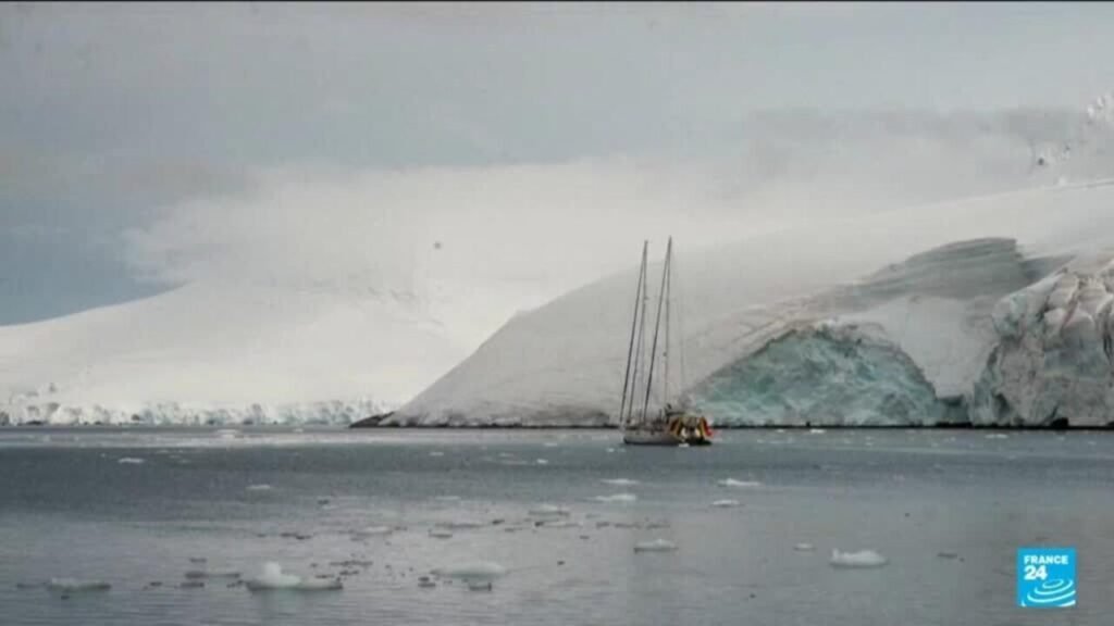 Researchers explore beneath Arctic ice to investigate endangered ecosystems.