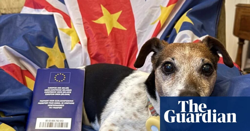 UK Pet Owners Traveling to the EU Advised Against Passport 'Loophole'