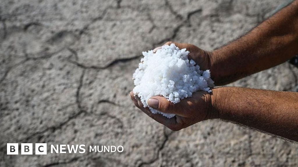 ¿Qué es la intrusión de agua salina y cuáles son sus impactos en la economía y la salud?
