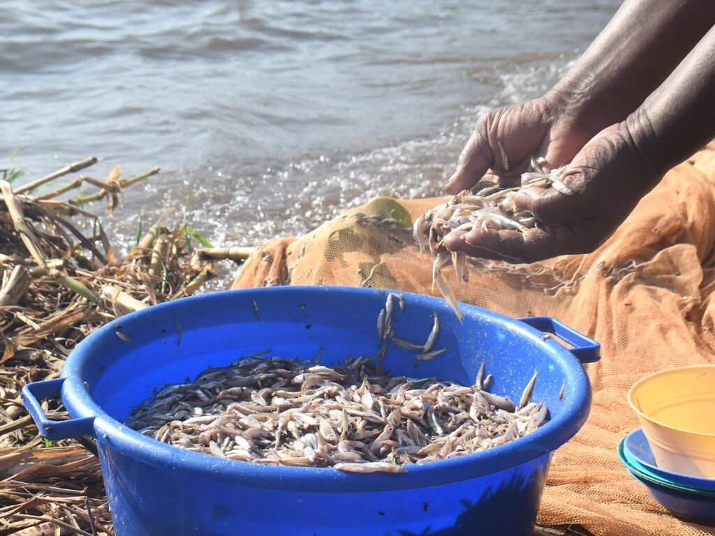 Kenyan Women Challenge Fishing Taboos Amid Climate Change Risks to Lake Victoria