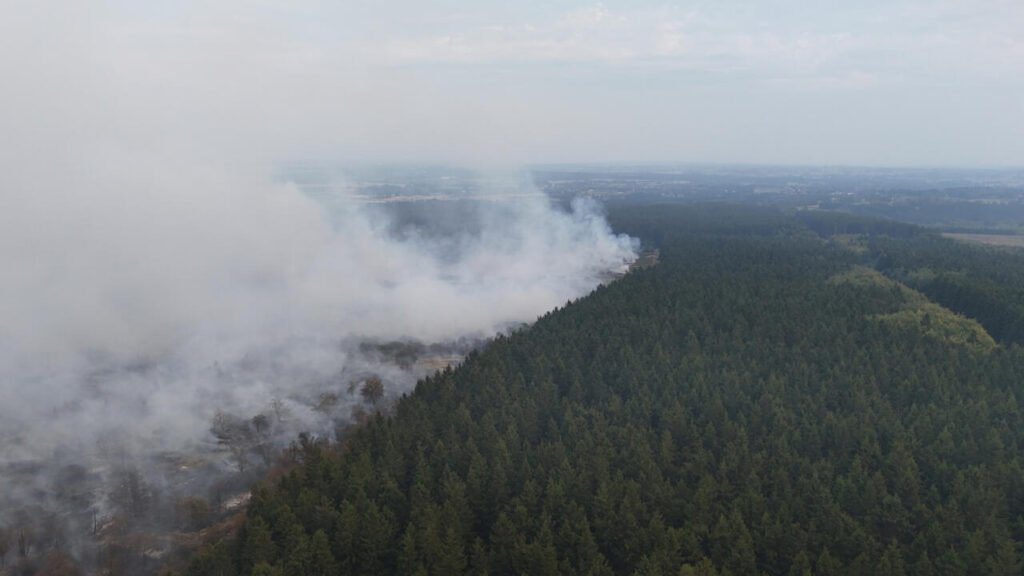 🔴 Belgium Wildfire Burns 3,000 Hectares, Prompting Village Evacuations; EU Deploys Aircraft