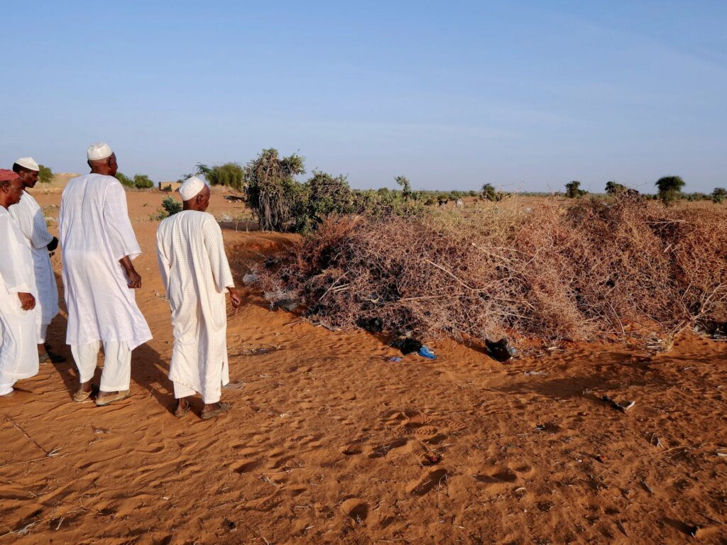 Mass Grave Containing 25 Bodies Discovered in Kurmuk, Sudan Following Army's Recapture of the Town