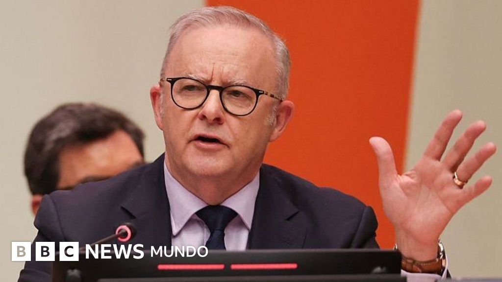 Cómo Australia ha emergido como el líder en la lucha contra las grandes empresas tecnológicas.