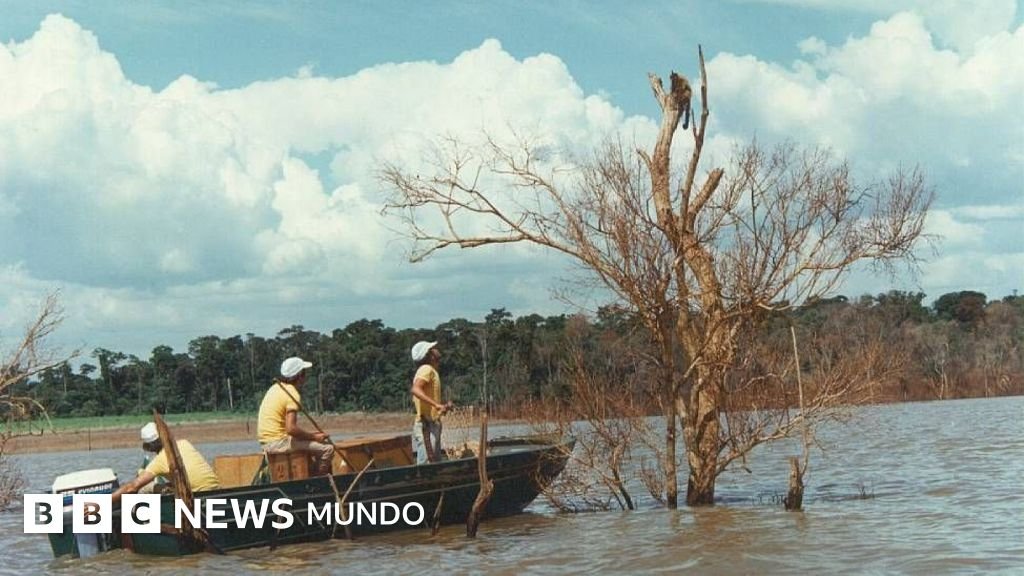 Mymba Kuéra: el asombroso salvamento de más de 30,000 animales durante la construcción de la represa de Itaipú en Paraguay y Brasil.