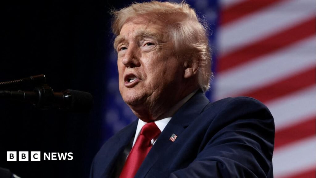 Trump's remarks about a unified Ireland could be aimed at an audience across the ocean.
