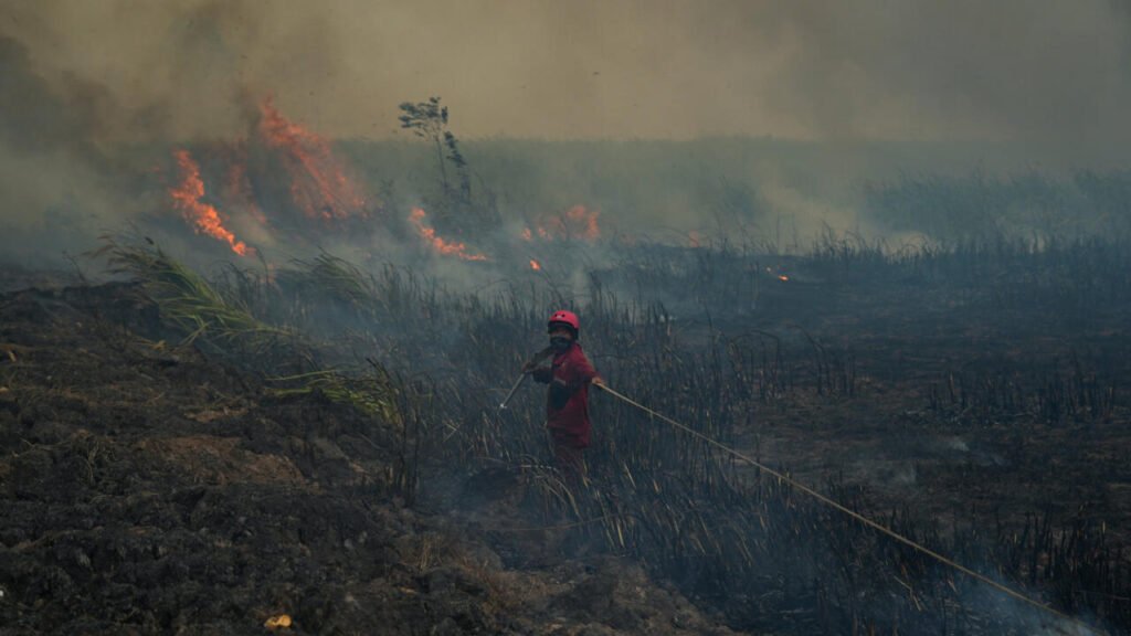 Prolonged Indonesia Wildfires Release Dangerous Haze Throughout Southeast Asia